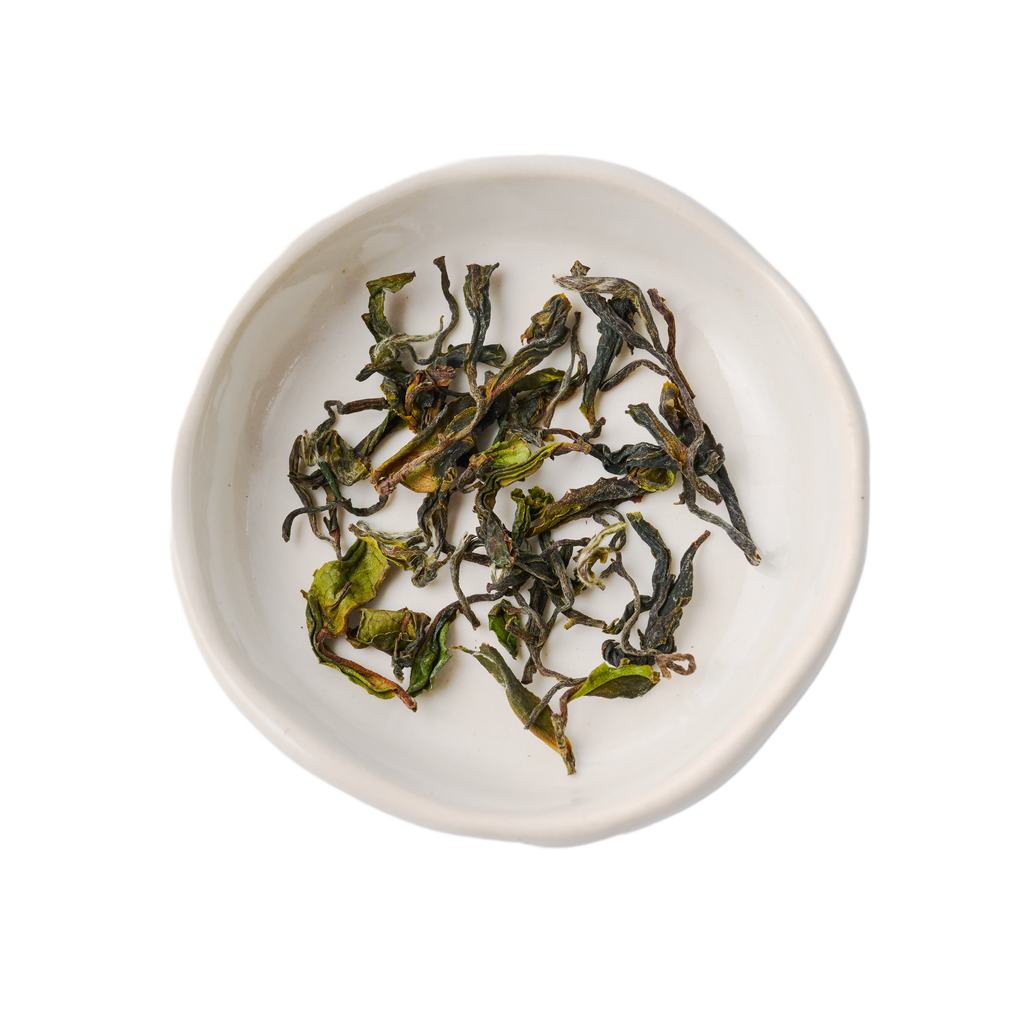 Palampur Oolong Tea
