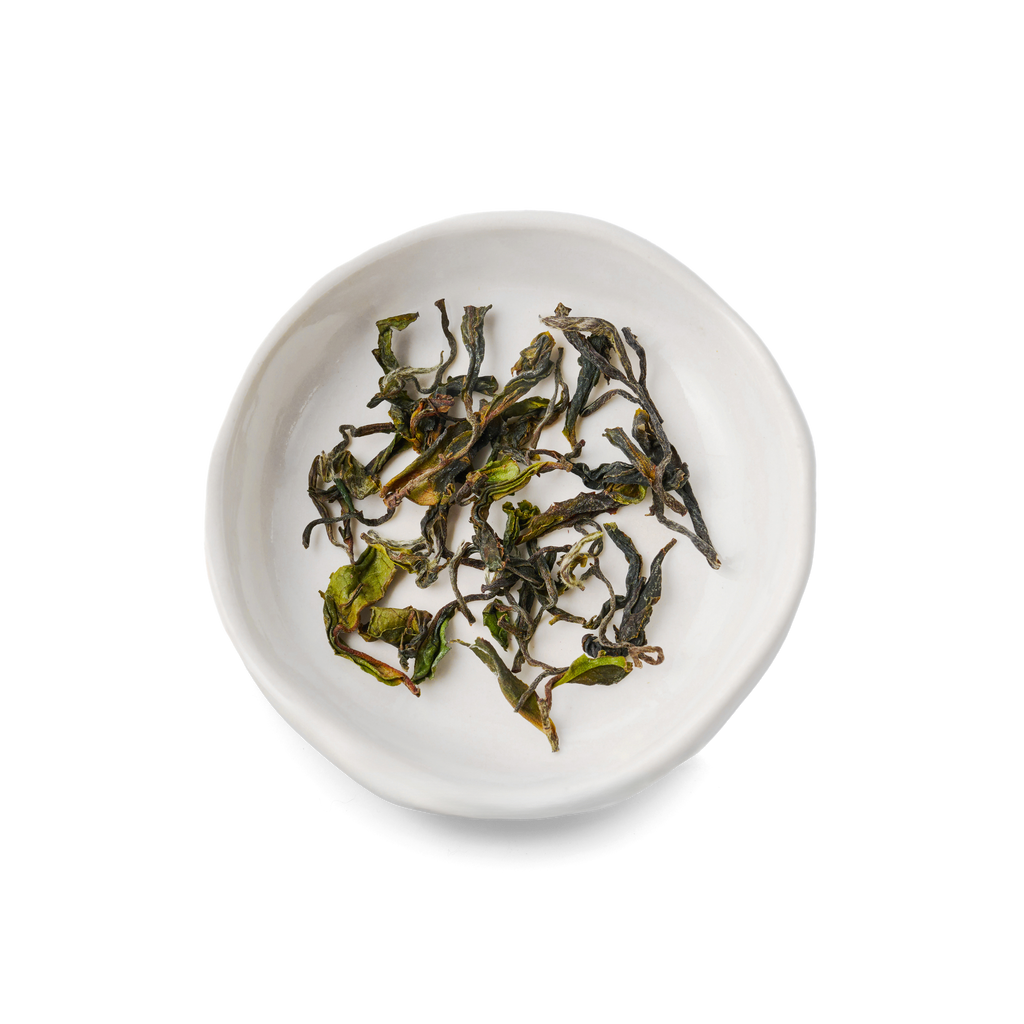 Palampur Oolong Tea