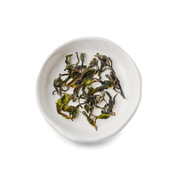 Palampur Oolong Tea