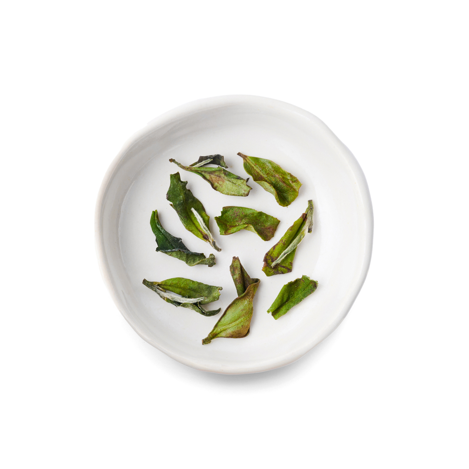 Wah White Peony Tea